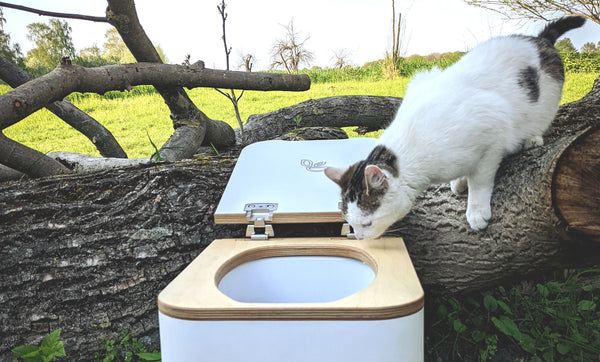 Why your composting toilet smells bad and what you can do about it