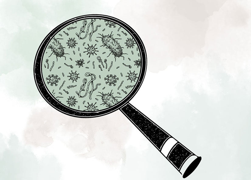 Pequeños superhéroes: Todo sobre los microorganismos eficaces y cómo te ayudan a mantener tu baño seco con separador higiénicamente fresco