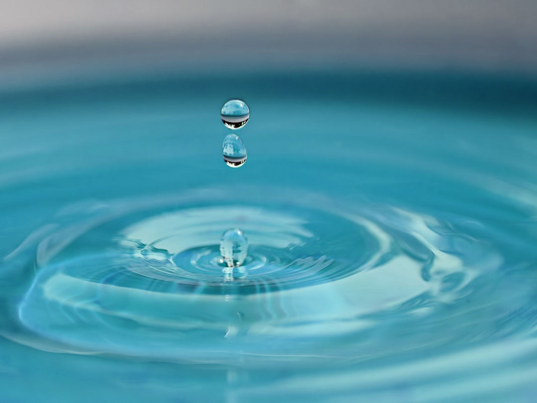 Ahorrar agua con el baño seco con separador: Así de sencillo, así de importante.